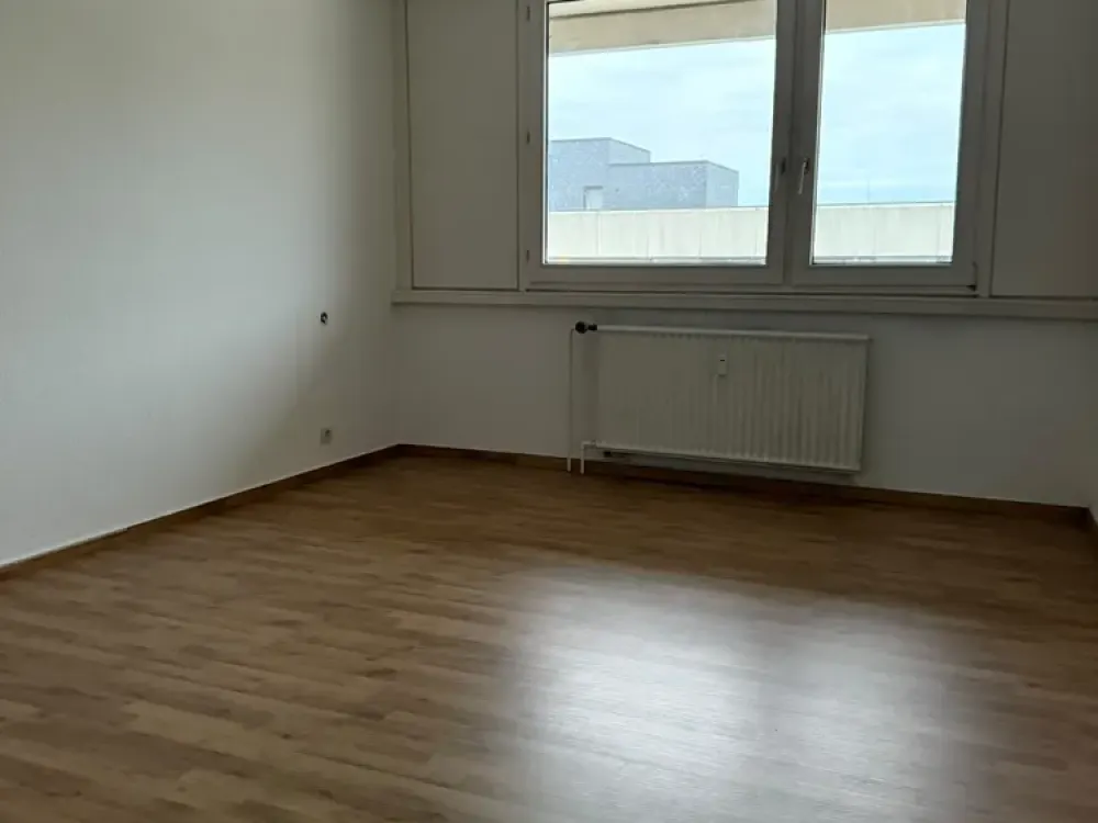 Large 2-Room Apartment in Linden-Mitte