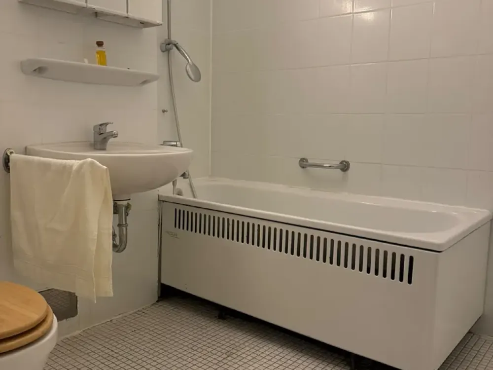 Large 2-Room Apartment in Linden-Mitte