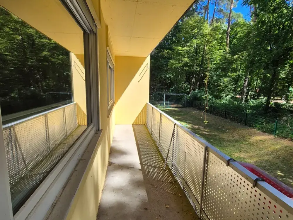 Große Wohnung in Karlsruhe - Waldstadt