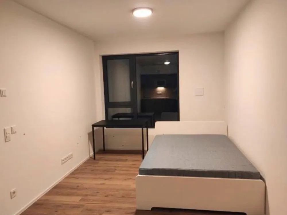Wohnung Nürnberg zur Untermiete- Zentrale Lage