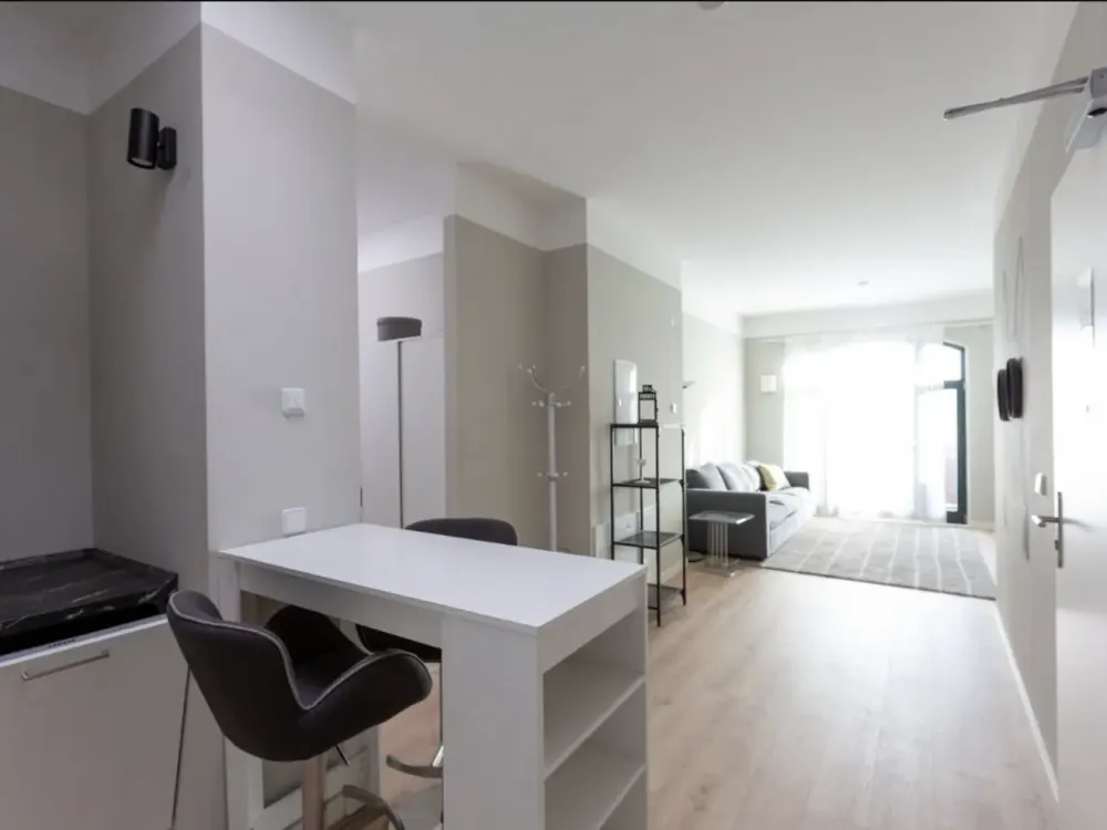 السكن بأسلوب لوفت في مصنع قديم، طراز فردي، مفروش، مع شرفة (013)