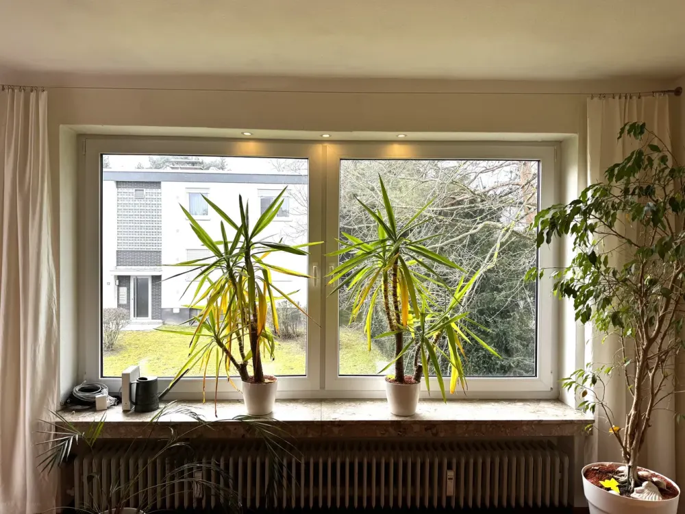 Large 2-Room Apartment in Bad Wilhelmshöhe