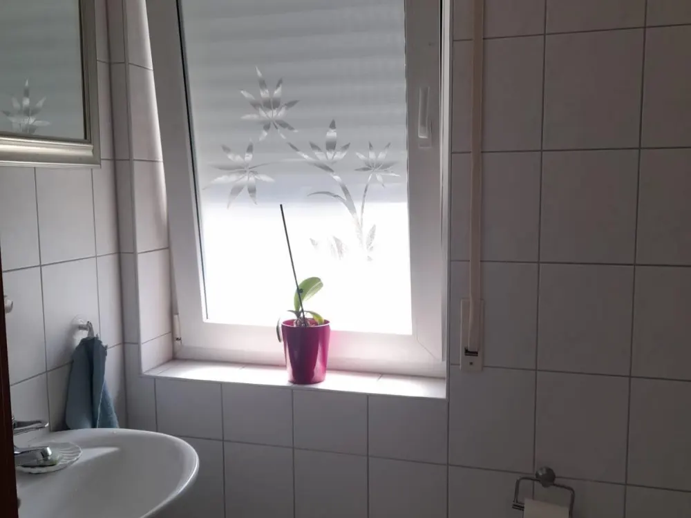 Wohnung zu vermieten