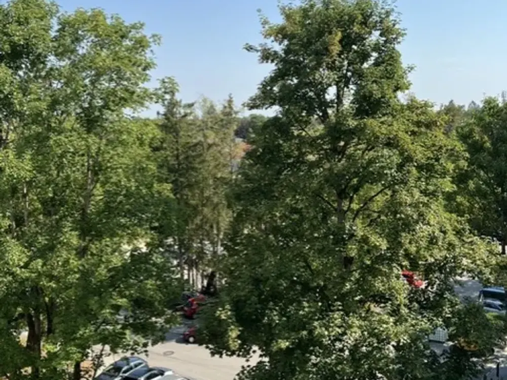 Helle, gut geschnittene 3 Zimmer Wohnung von privat