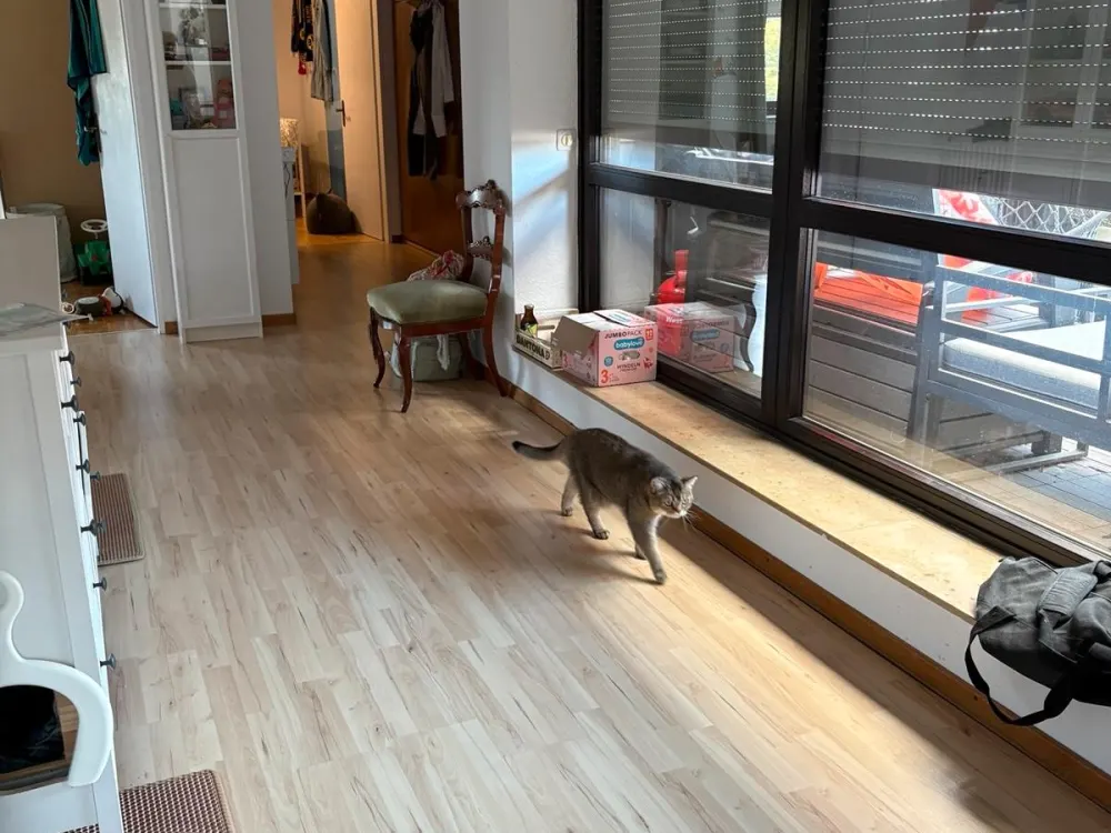 4 Zimmer Wohnung in alte Ricklingen