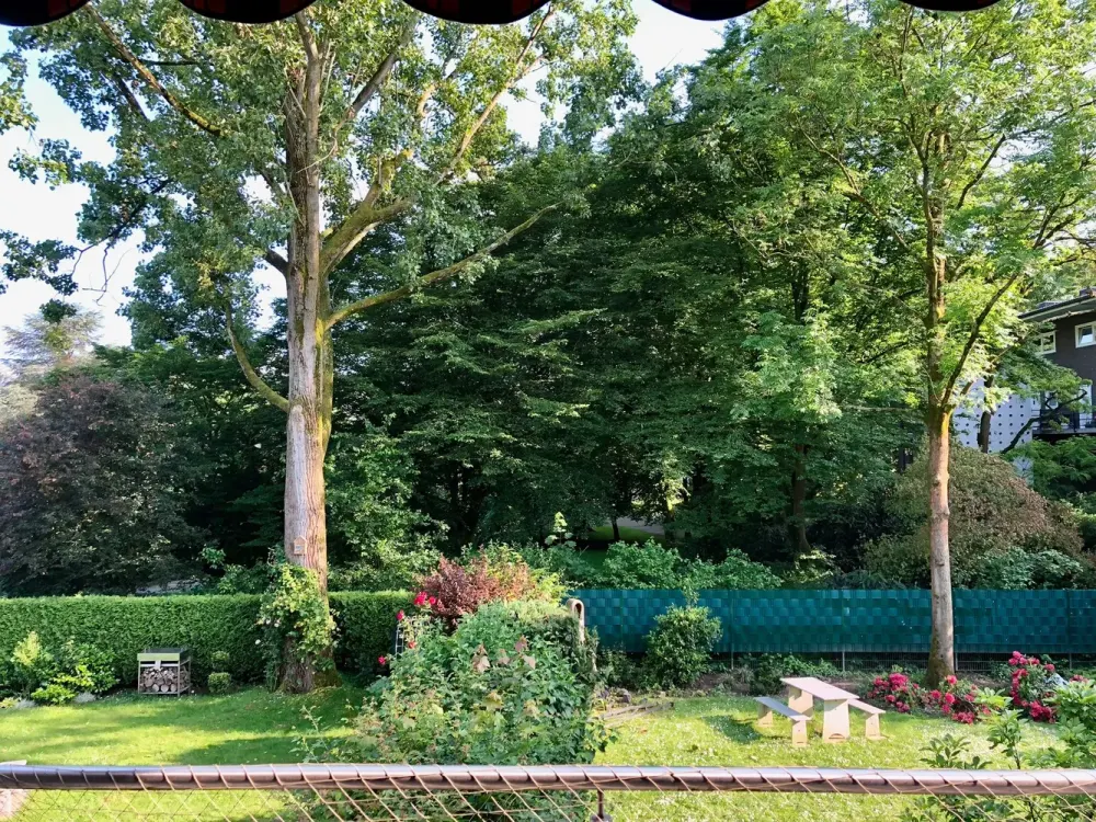 Erstbezug nach Sanierung - Helle 2 Zimmer Wohnung