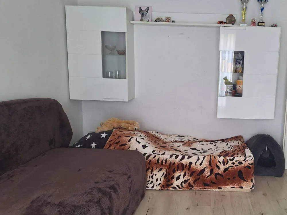 Gemütliche Wohnung mit Garten