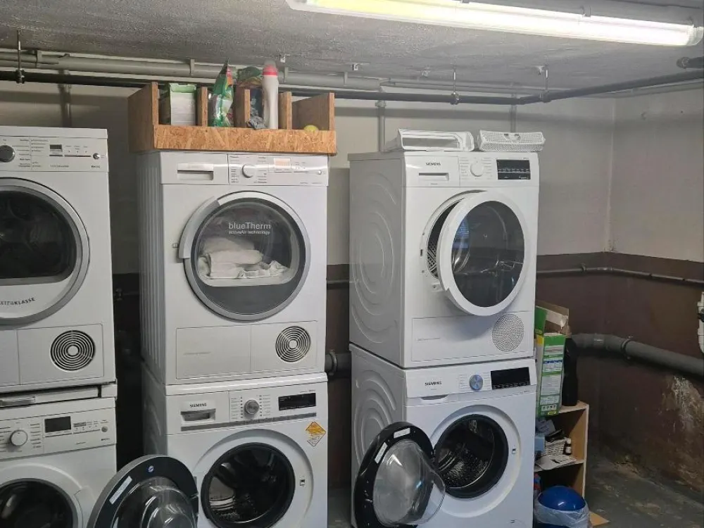 3 Zimmer Wohnung