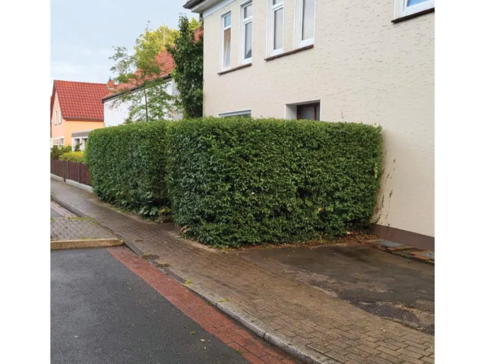4 Zimmer Dachgeschosswohnung mit Gemeinschaftsgarten