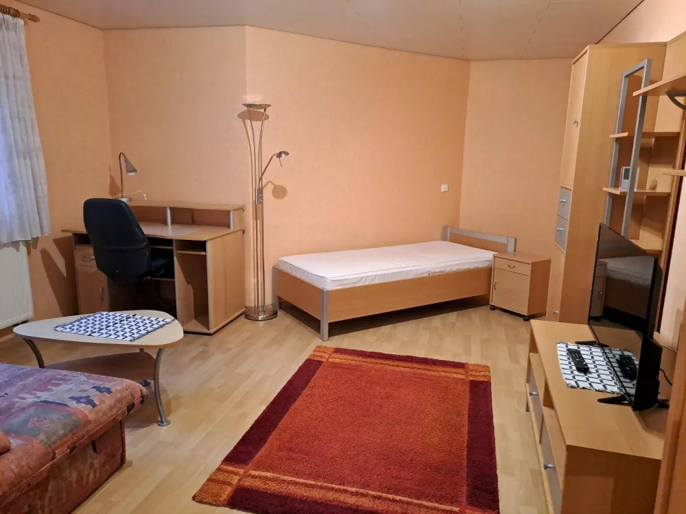 HOLZGERLINGEN modernes 1 1/2 Zimmer Appartement voll möbliert