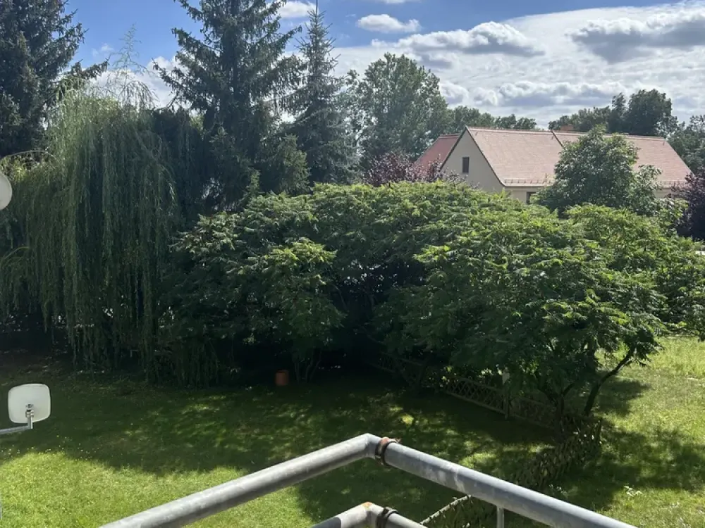Tolle 2-Raum-Wohnung mit Küche und Balkon in Merkwitz, Ideal für Singles und Paare!