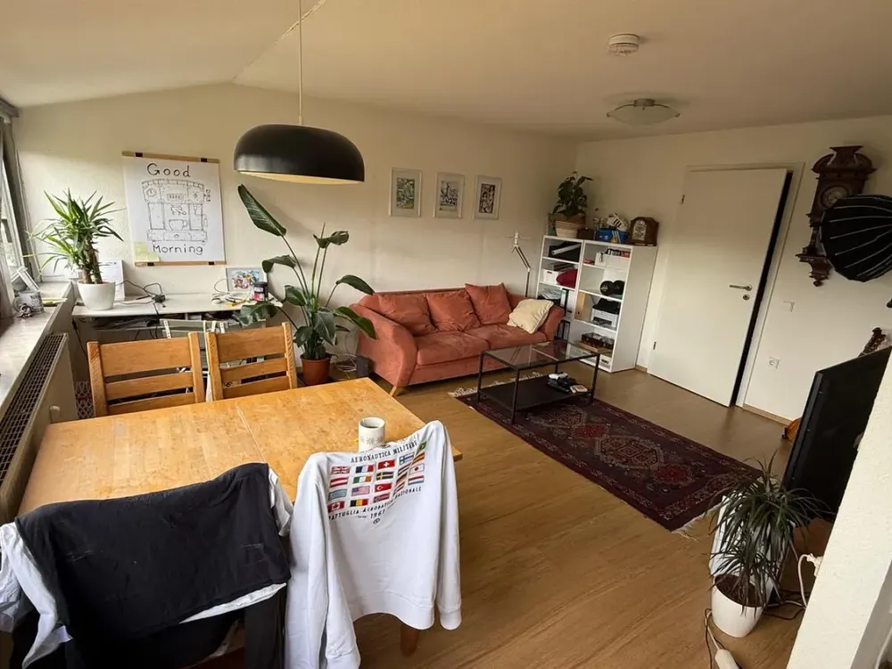 Beautiful 3-Room Attic Apartment