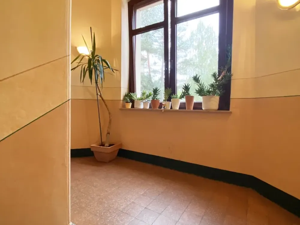 Beautiful bright 2-room apartment in Striesen with fitted kitchen
