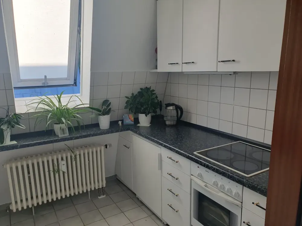 Helle hohe 3 Zimmerwohnung in Neuhausen