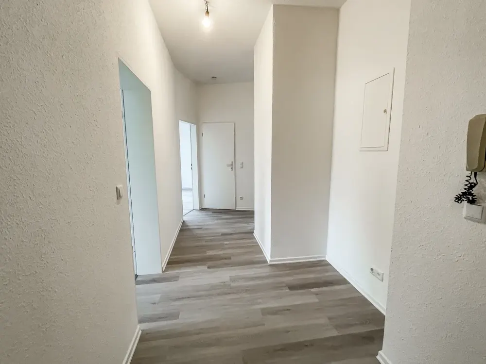 2.5 Rooms, Fully Renovated, Balcony, First Occupancy