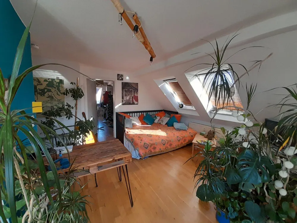 DG-Wohnung in Connewitz zur Zwischenmiete für 3 Monate