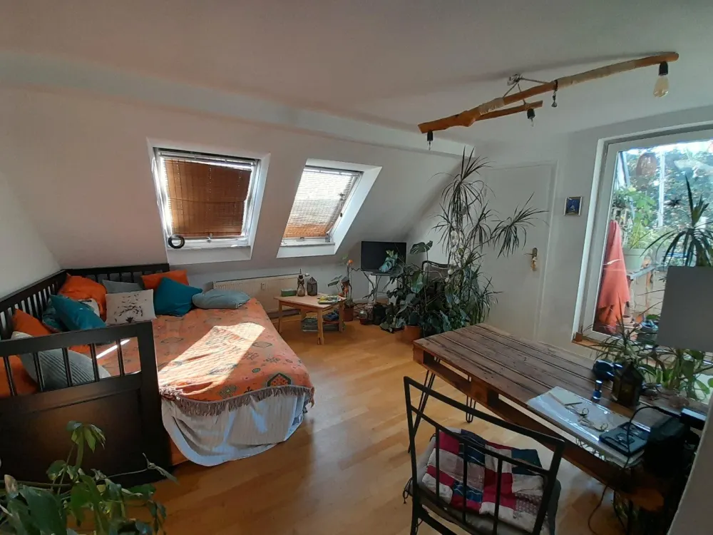 DG-Wohnung in Connewitz zur Zwischenmiete für 3 Monate