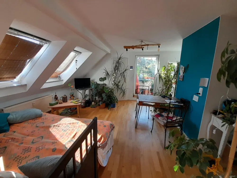 DG-Wohnung in Connewitz zur Zwischenmiete für 3 Monate
