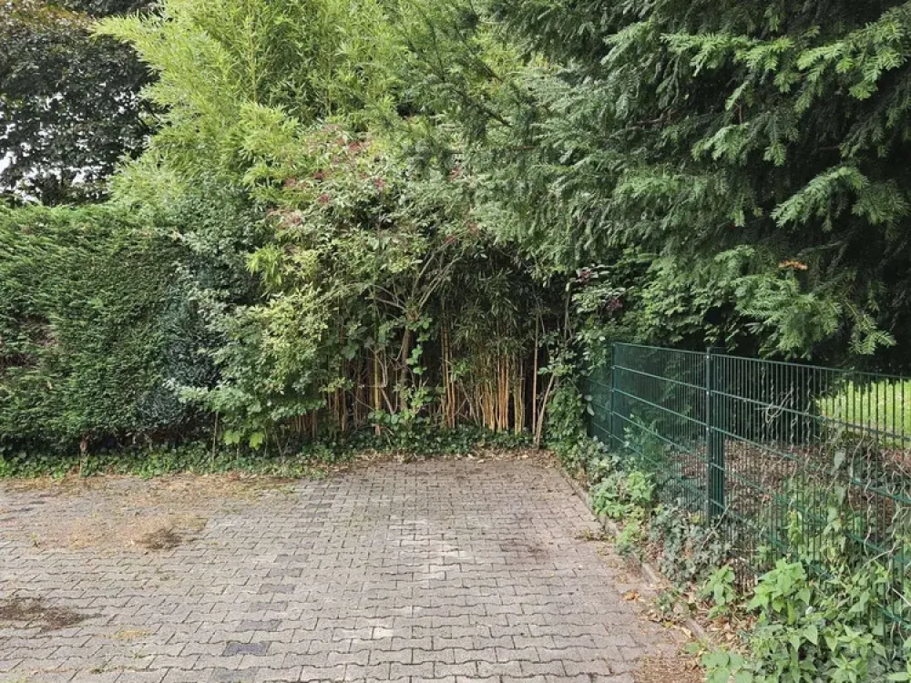 Perfekte renovierte 1-Zimmer Wohnung mit Einbauküche, großer Balkon, Stellplatz (Auto)