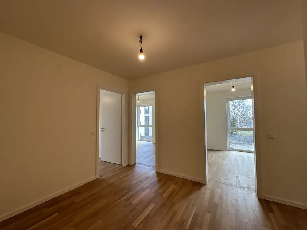 KfW 40-Neubau-Wohnung mit EBK, Südbalkon, Echtholzparkett, Fahrstuhl, Tiefgarage