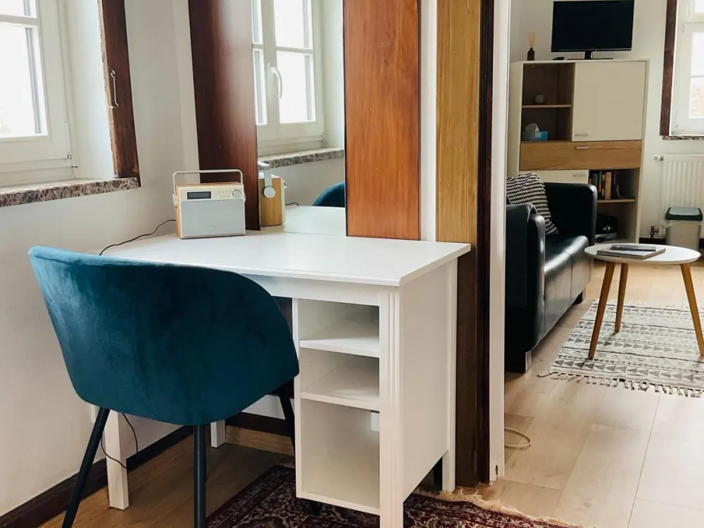 1 Zimmer Wohnung möbliert