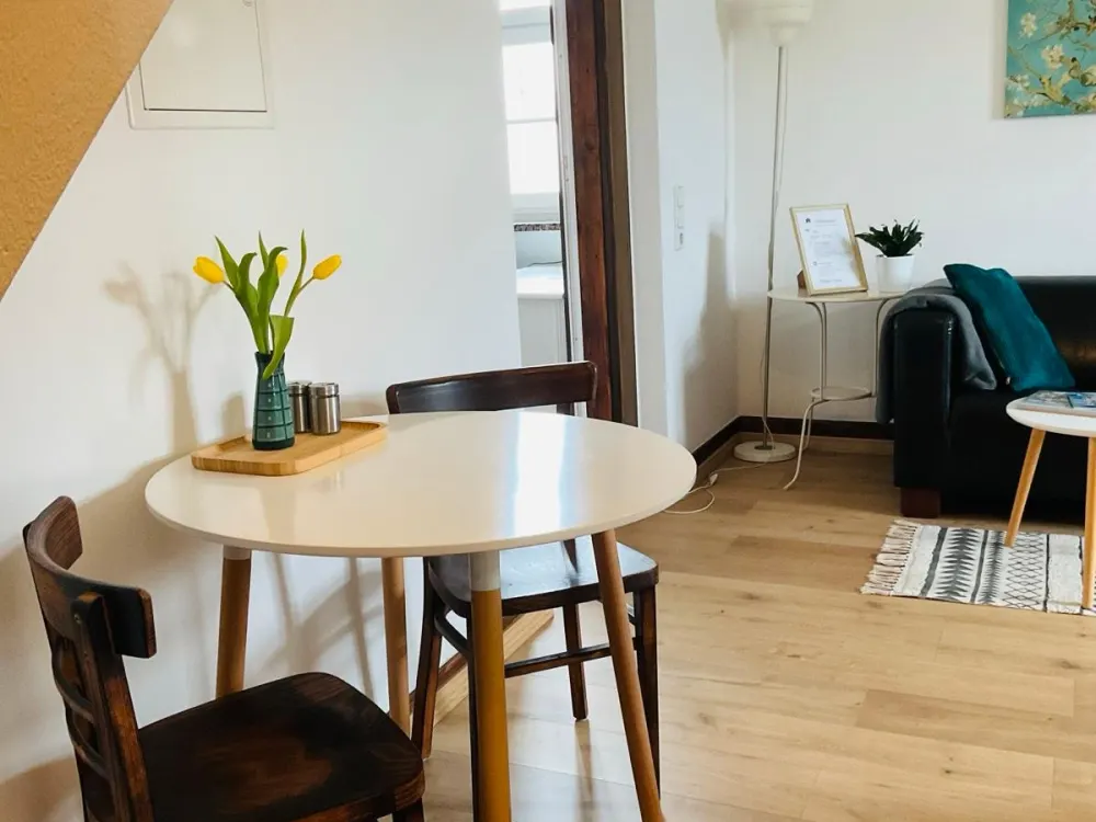1 Zimmer Wohnung möbliert