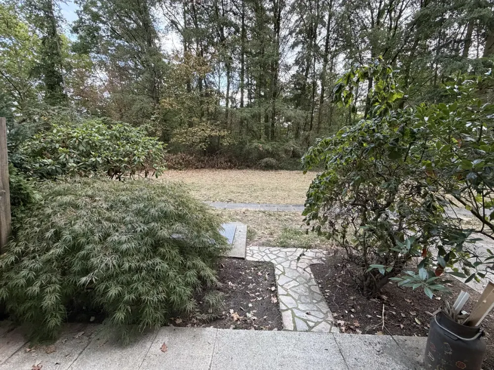 Kernsanierte 3ZW mit neuer EBK und kleiner Terrasse, barrierefrei