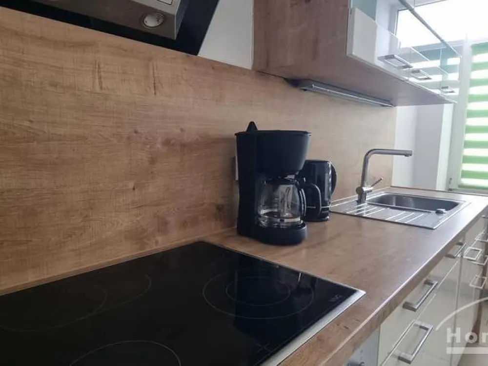 27767 HomeCompany Dresden Möbliert/Furnished 2-Zimmer Apartment in Dresden-Löbtau max. 4 Personen