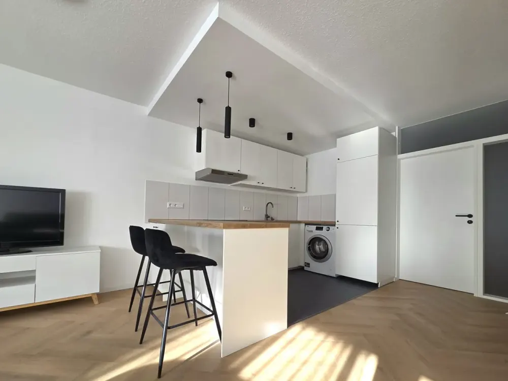 Frisch sanierte und voll möblierte 1-Zimmer-Wohnung mit 22 m² Terrasse in der engeren Innenstadt