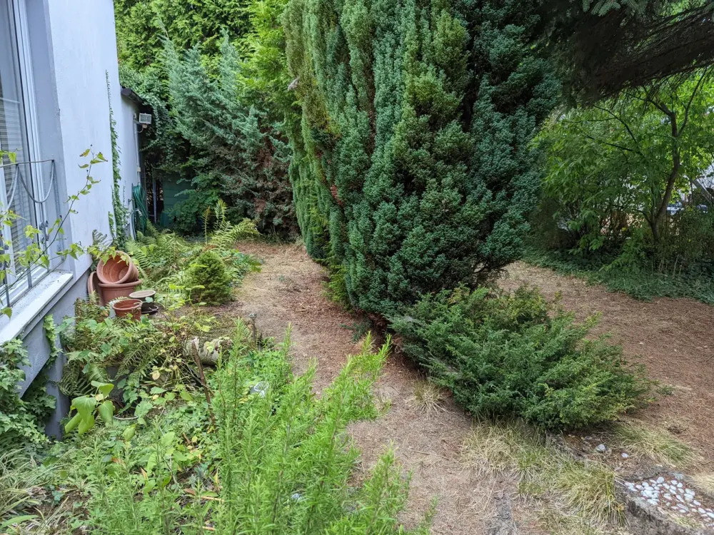 2,5-ZW mit eigenem Garten