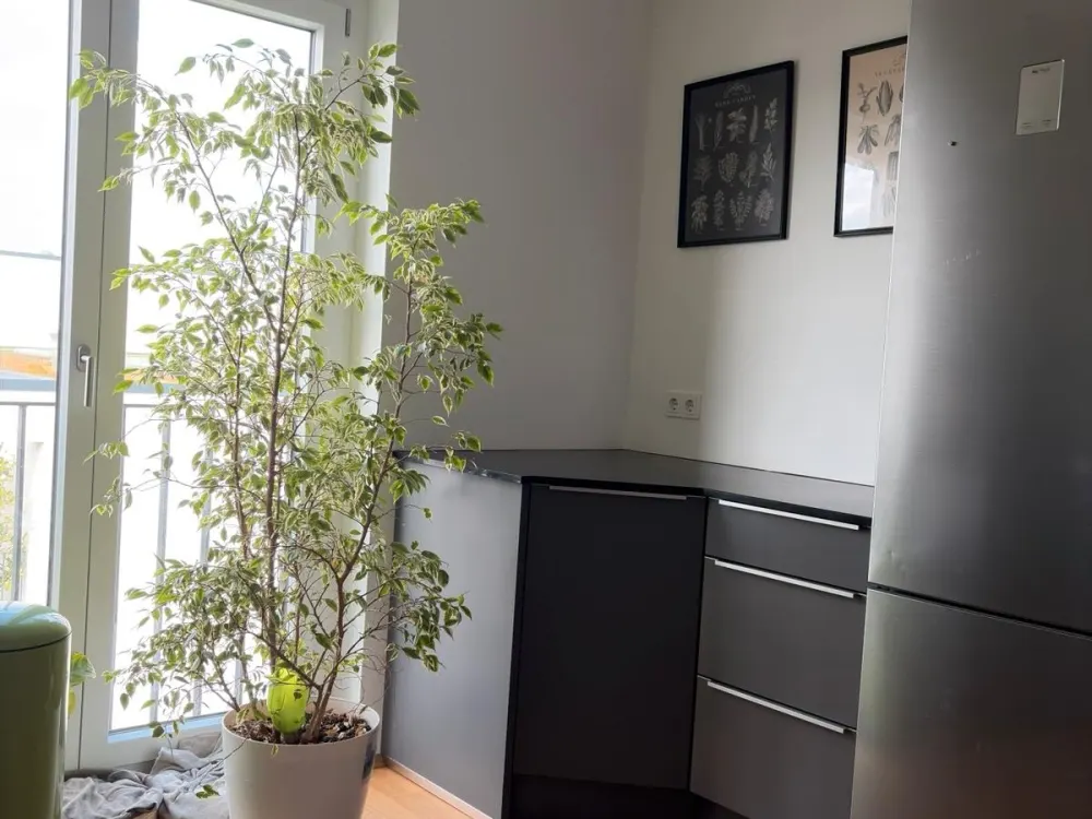helle 3-Zimmer-Wohnung mit Balkon, zwei Bädern und vielem mehr..