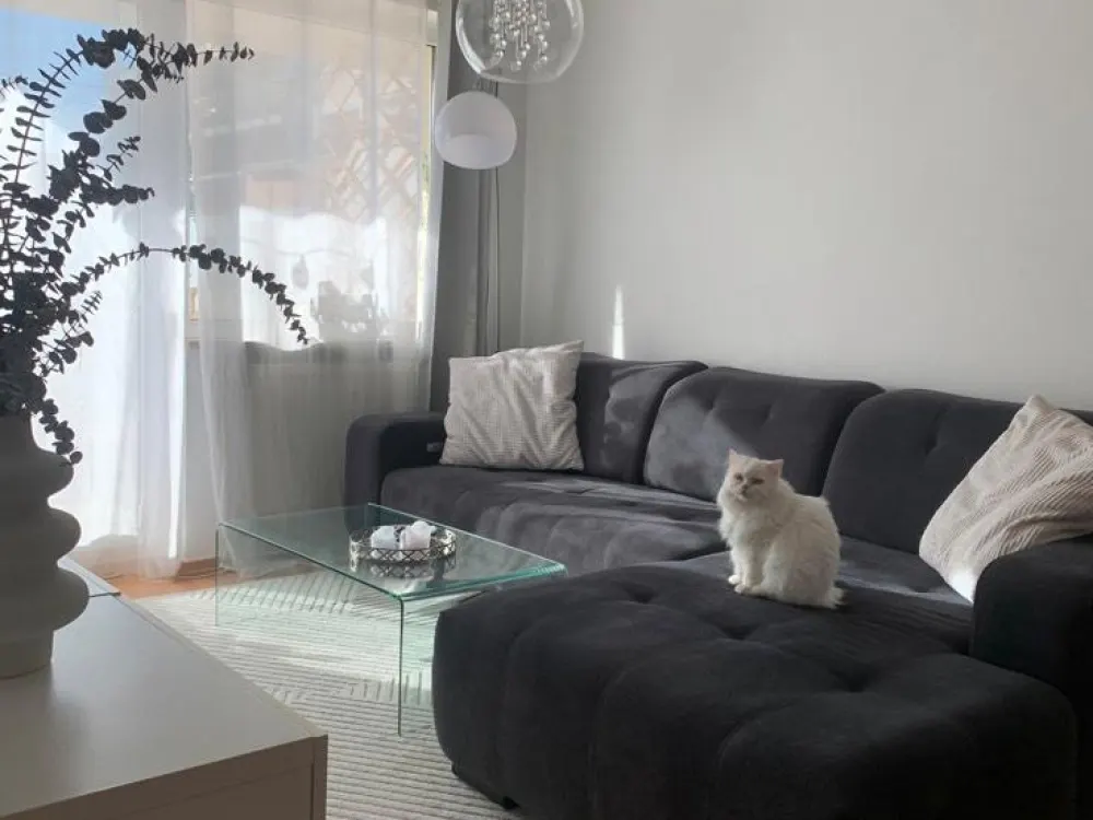Mietwohnung ab 01.01. mit Balkon, Aufzug und SP in Dresden