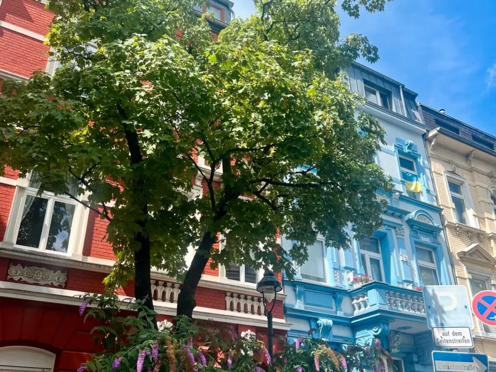 Möblierte Wohnung in Pempelfort