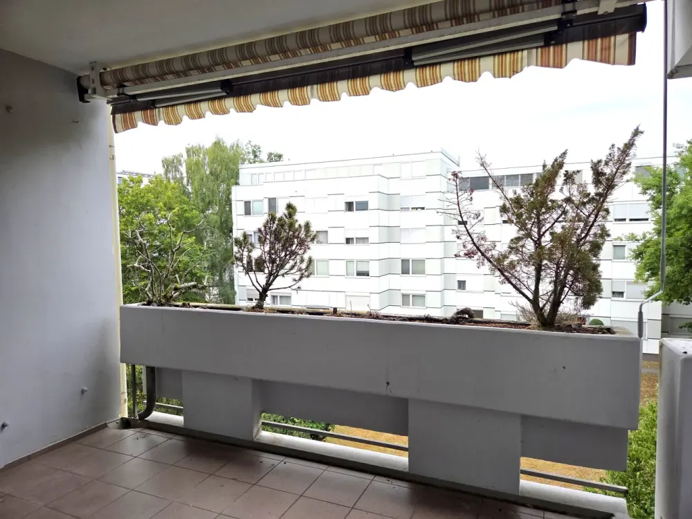 SOFORT FREI - Großzügige 2-Zimmer-Wohnung 85,5 m², Südwest-Balkon & TG, Erstbezug nach Sanierung