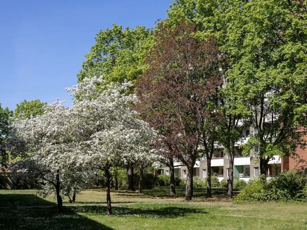 Berlin, Westerwaldstr. 32, 1.OG links