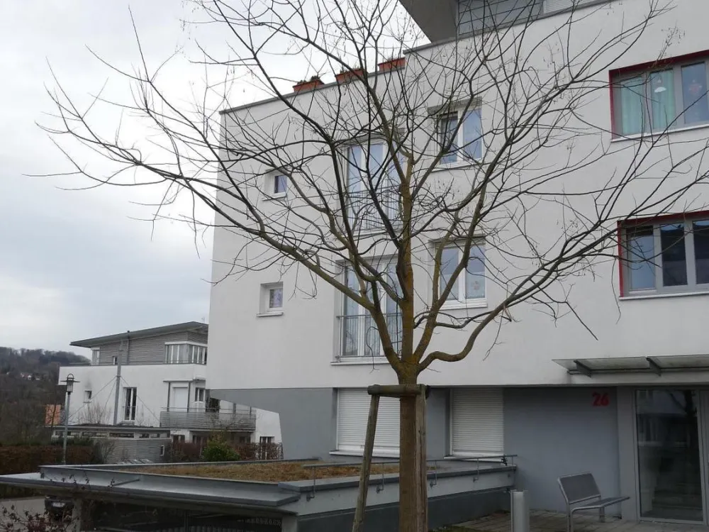 Großzügige 4-Zimmer-Wohnung mit Terrasse!