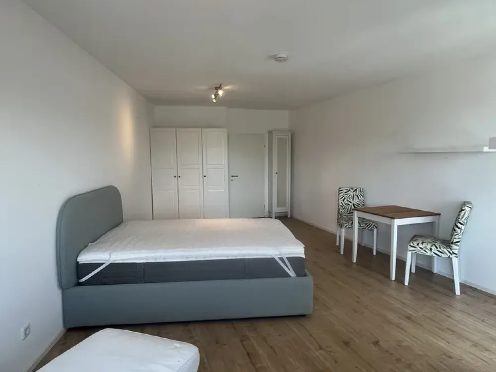 Freshly Renovated, Furnished 1-Room Apartment by the Field, Burgholzhausen
