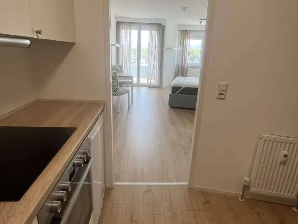 Freshly Renovated, Furnished 1-Room Apartment by the Field, Burgholzhausen