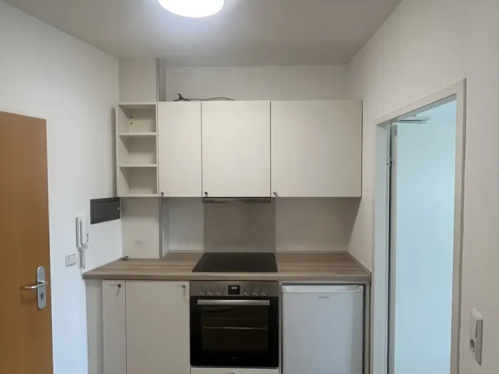 Freshly Renovated, Furnished 1-Room Apartment by the Field, Burgholzhausen