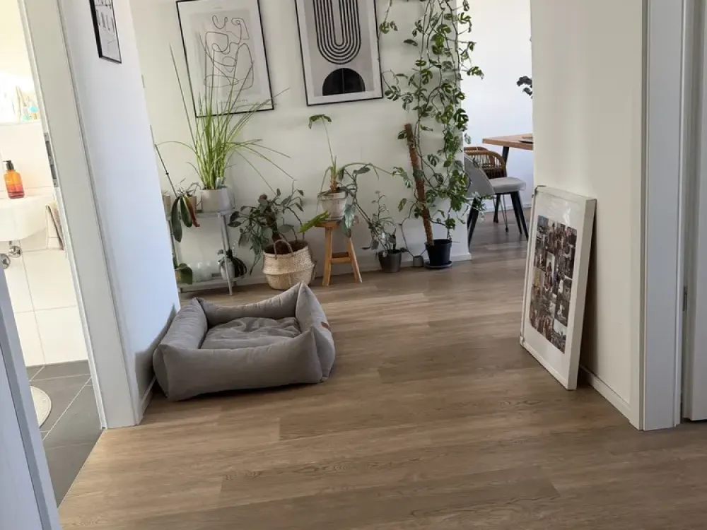 Helle 2-Zimmer-Wohnung mit großem Süd-West-Balkon direkt am Wald in Düsseldorf-Rath
