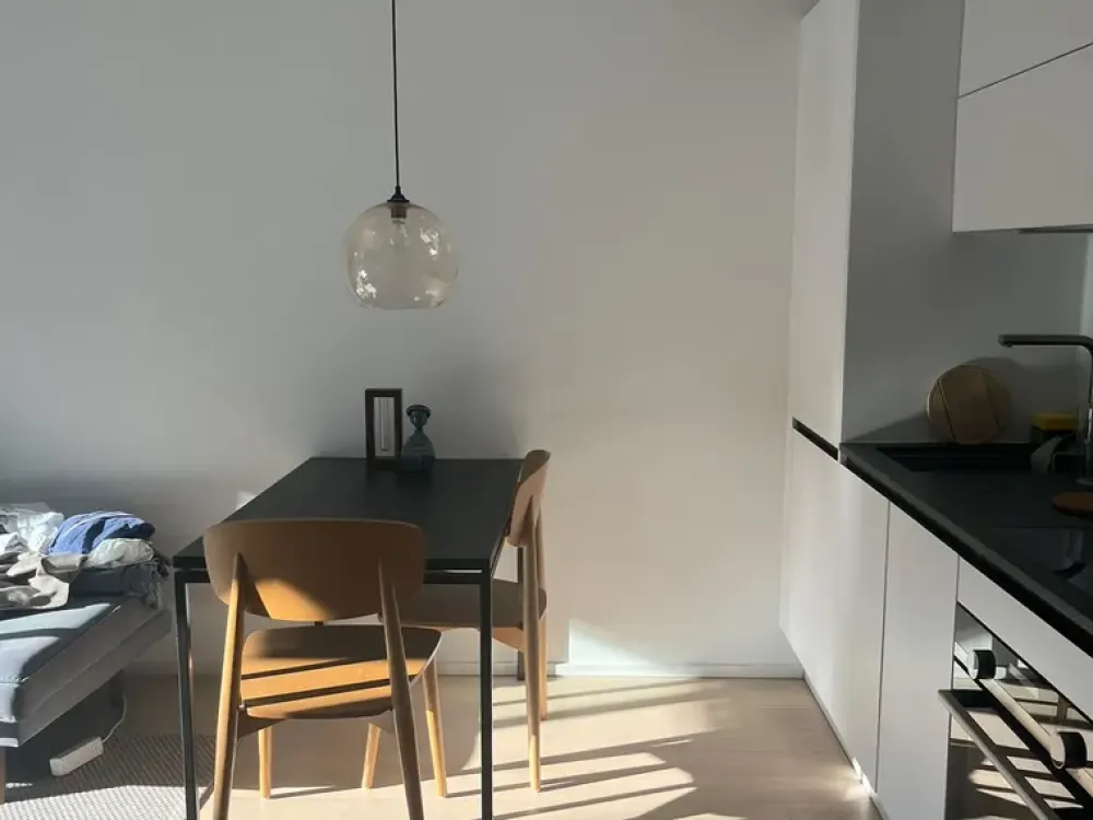 Fully Furnished, Bright 1-Room Apartment with Garden in Untergiesing-Harlaching