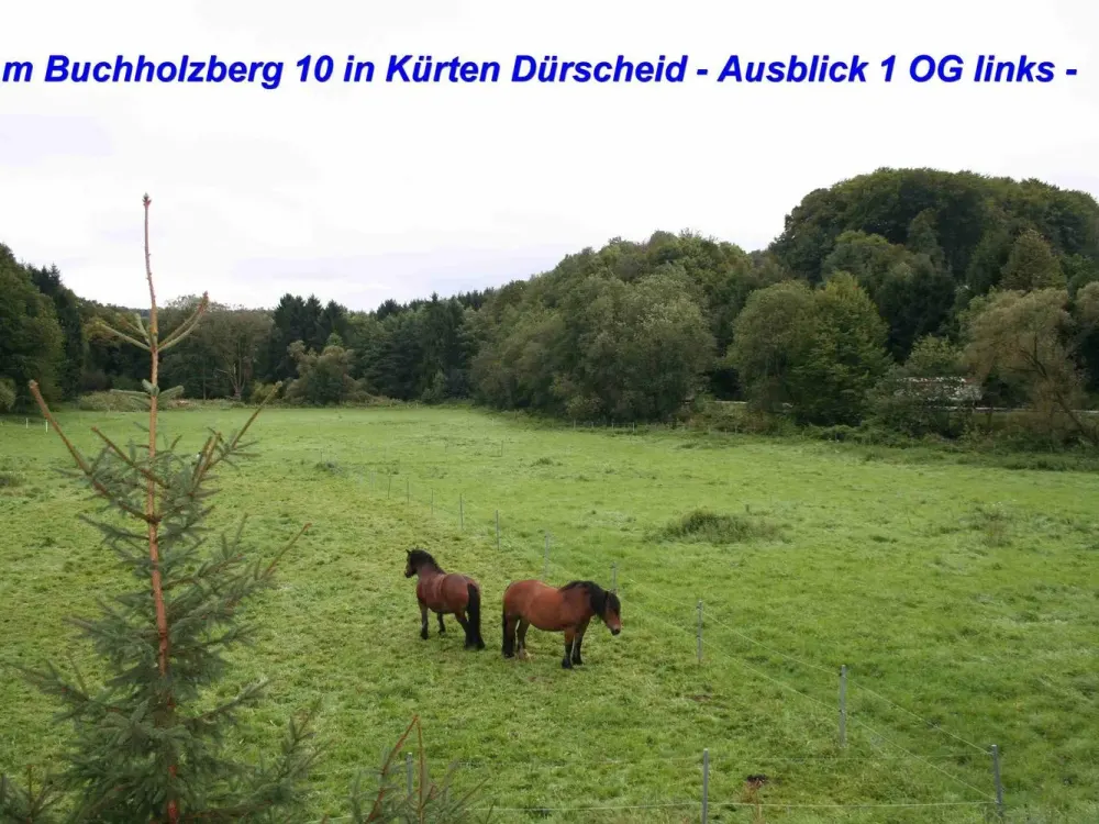 Kürten Dürscheid schöne 2-Zimmer-Dachgeschosswohnung