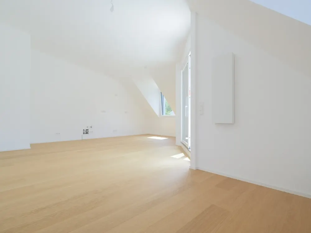 Erstbezug - Dachterrassenwohnung mit Einbauküche