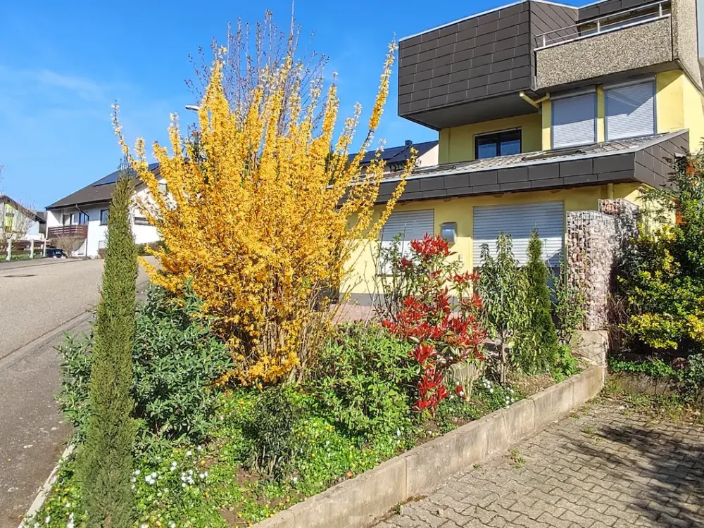 Exclusives 1-Zimmer Studio/Appartement 60 sqm + 30 sqm Garage/Keller