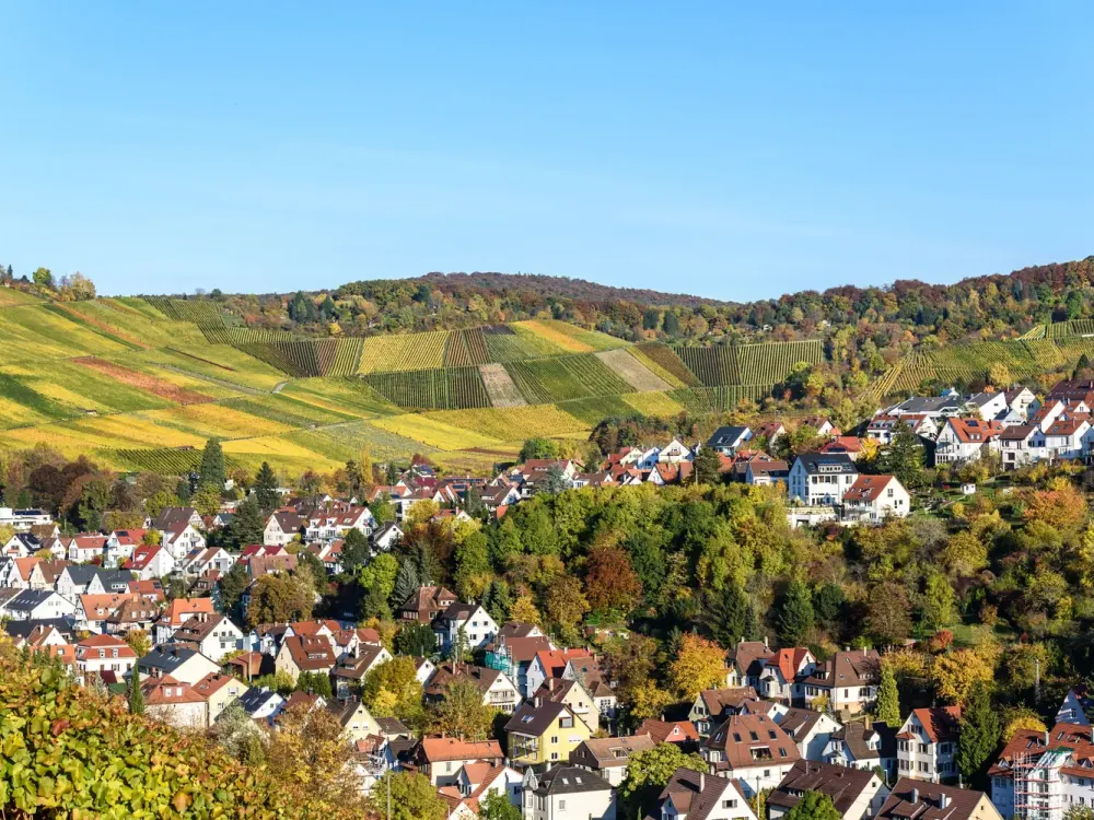 Living at the Weinberg - quiet, high-quality and close to the city - 3 rooms