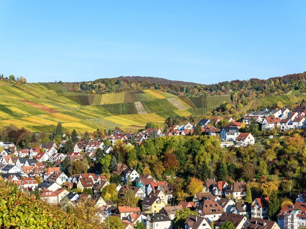 Wohnen am Weinberg - ruhig, hochwertig und stadtnah - 3 Zimmer