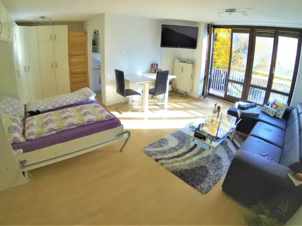 www.Hartl.immo 1,5 Zi 40m² ThalkirchnerStr28 München voll möbliert voll ausgestattet ALL INCLUSIVE!