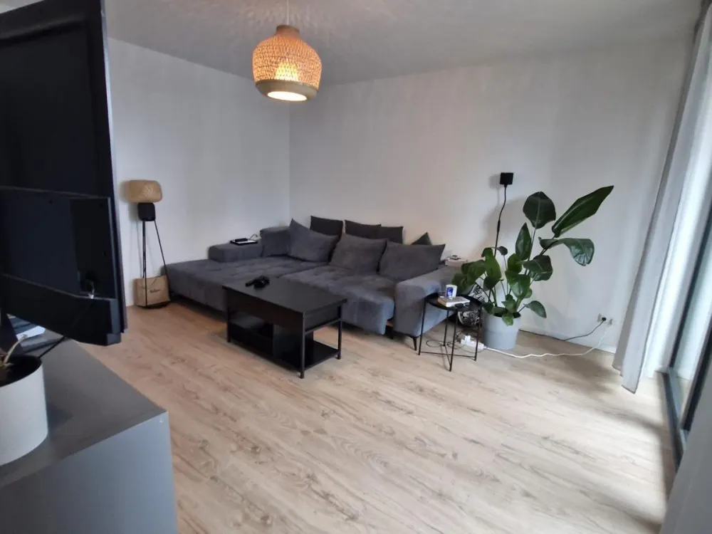 3 Room Apartment