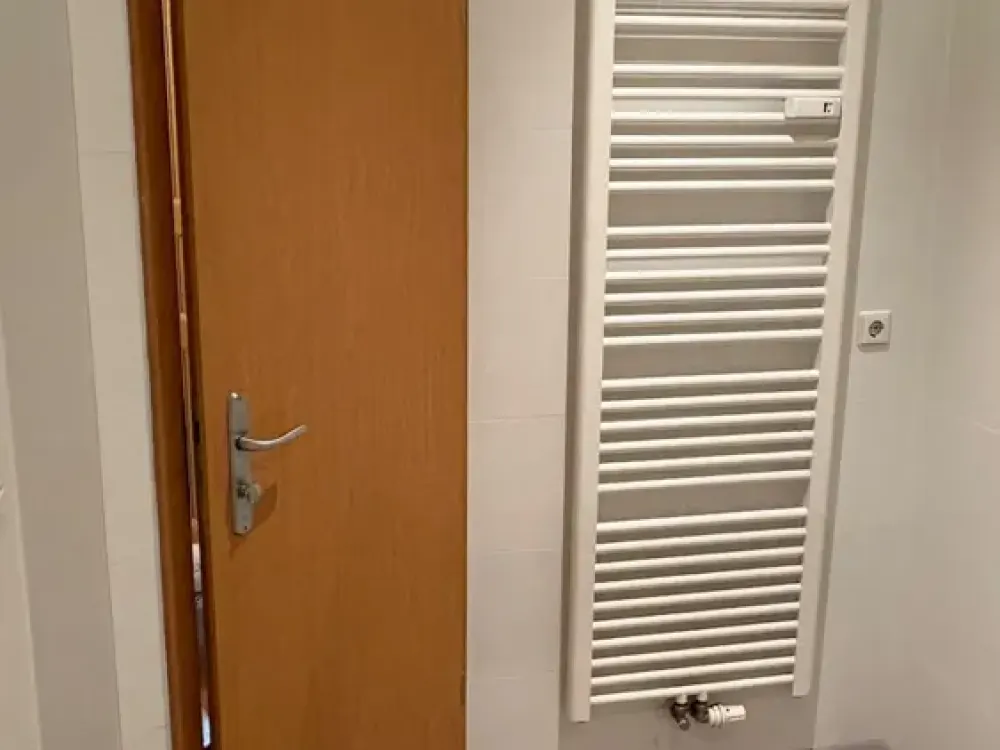 Helle 2-Zimmer-Wohnung mit Balkon in Dresden-Pieschen