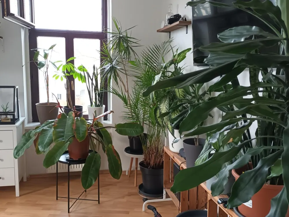 Helle und geräumige 2-Raum-Wohnung in Leipzig-Möckern!